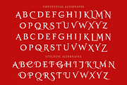 Salamanca TF Roman, a Serif Font by TypeFaith Fonts (Thumbnail 9 of 12)