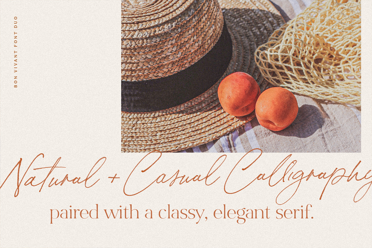 Bon Vivant Collection, a Serif Font by Nicky Laatz (Photo 10 of 44)