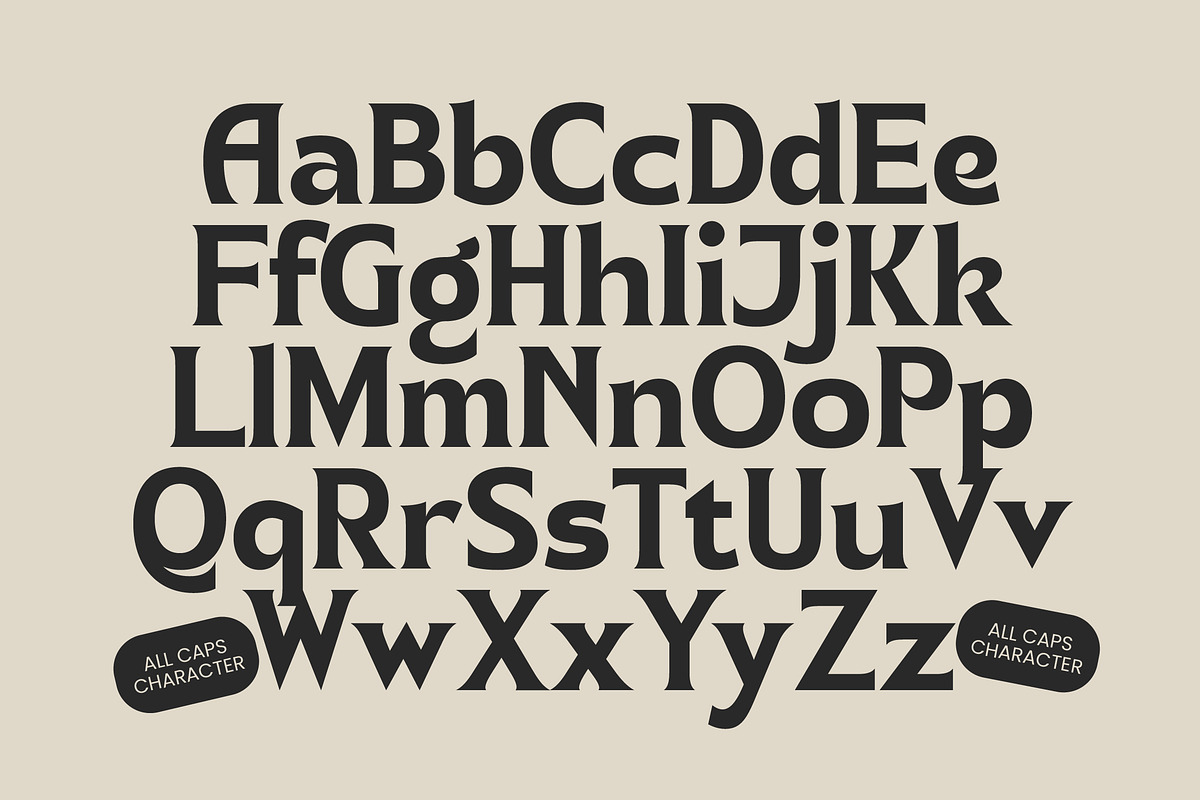 Namio Magah Modern Display Serif, a Serif Font by timelesstype.co (Photo 17 of 20)
