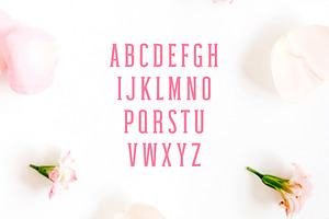 Haana Slab Serif Duo Font