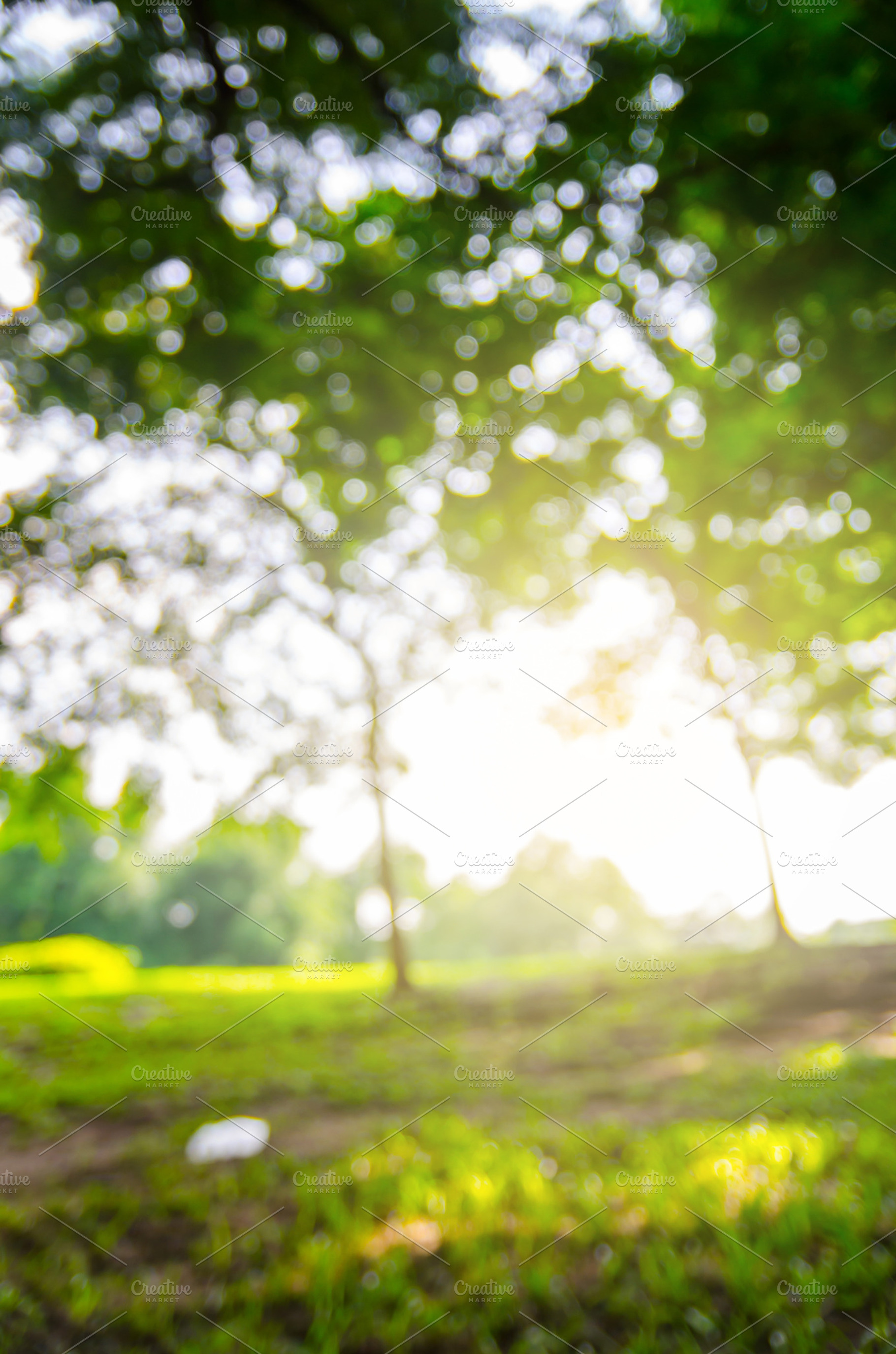 Blurred nature background featuring park, blurred, and blur, an Abstract Photo by Slonme