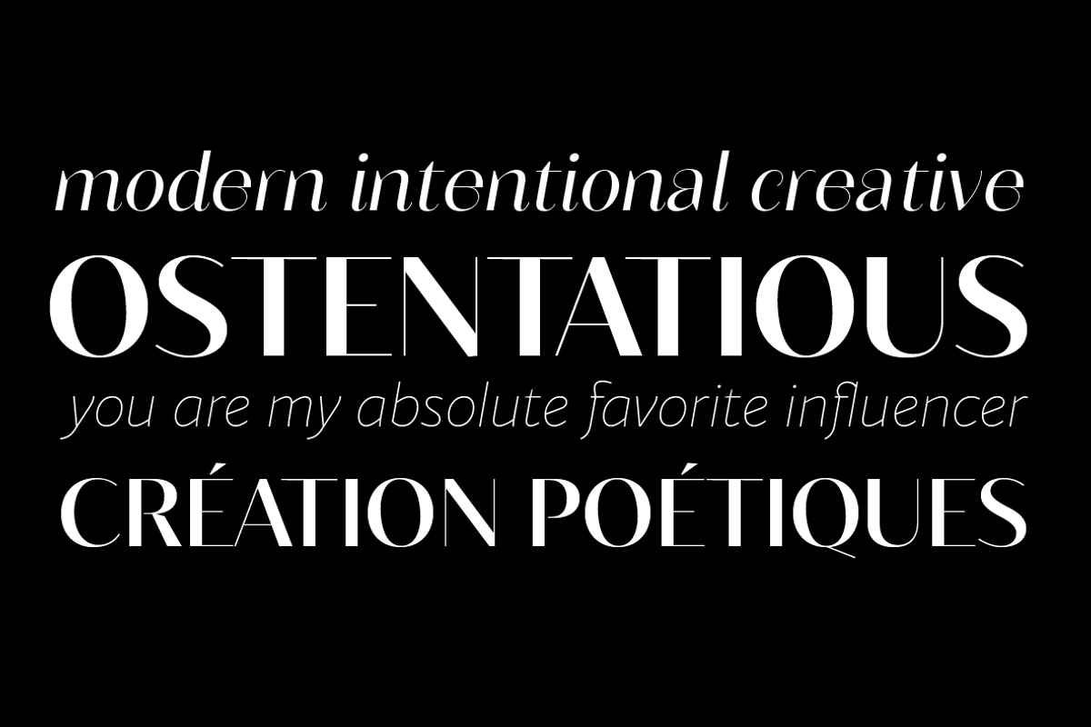 Blacker Sans - 60 + 3 variable fonts preview 6