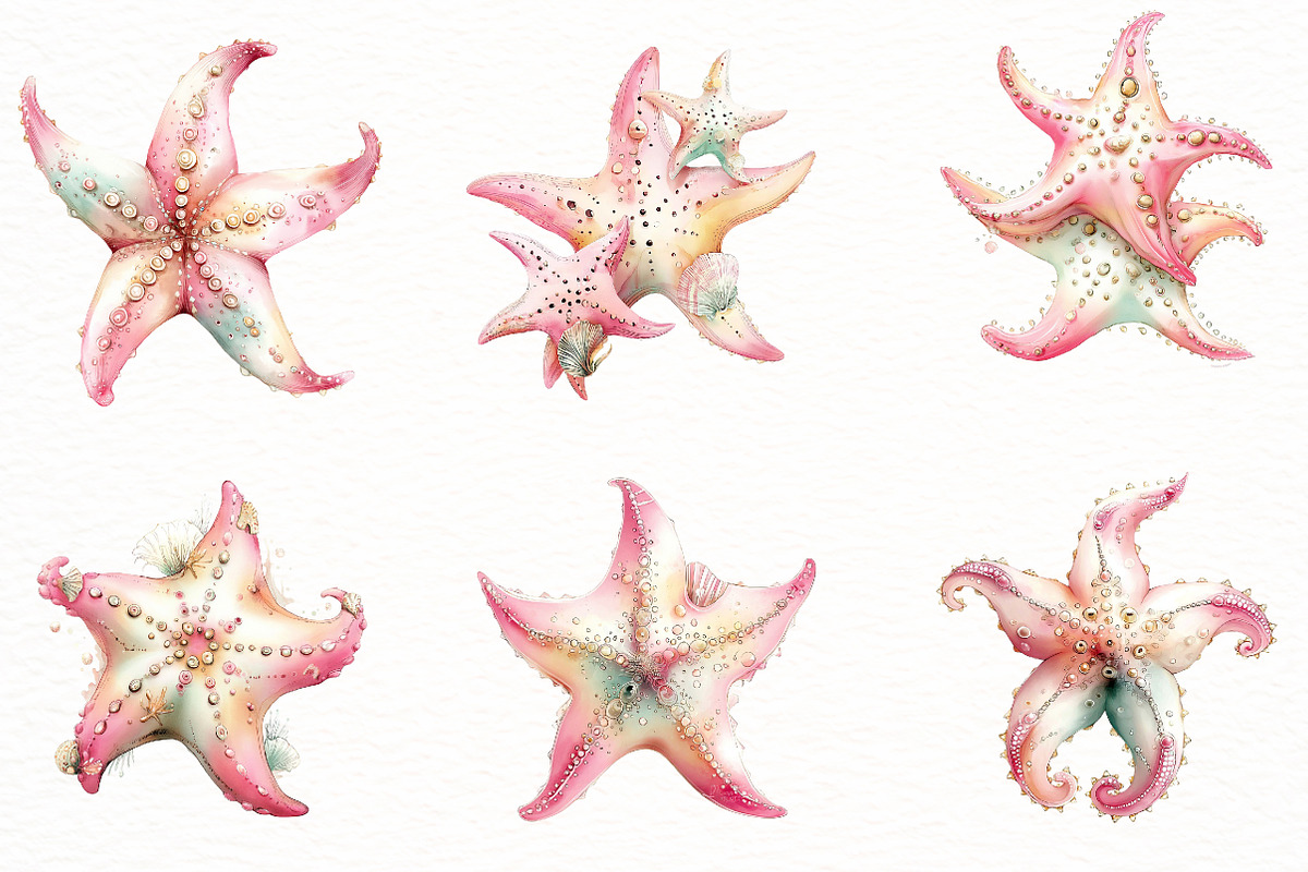 Whimsical Summer starfish clipart, an Illustration by Designworld (Photo 2 of 8)