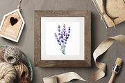 Lavender flowers watercolor, clipart, a Food Illustration by Hanna Hryharenka (Thumbnail 10 of 17)