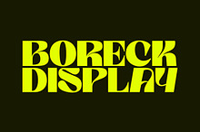 Boreck Display