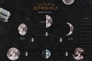 Encyclopedia of Astrology, an Animal Illustration by Julia Dreams (Thumbnail 10 of 14)
