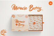 Bunaken - Handmade Brush Font, a Script Font by Typefactoryco (Thumbnail 6 of 11)