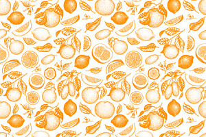 Citrus Vector Collection