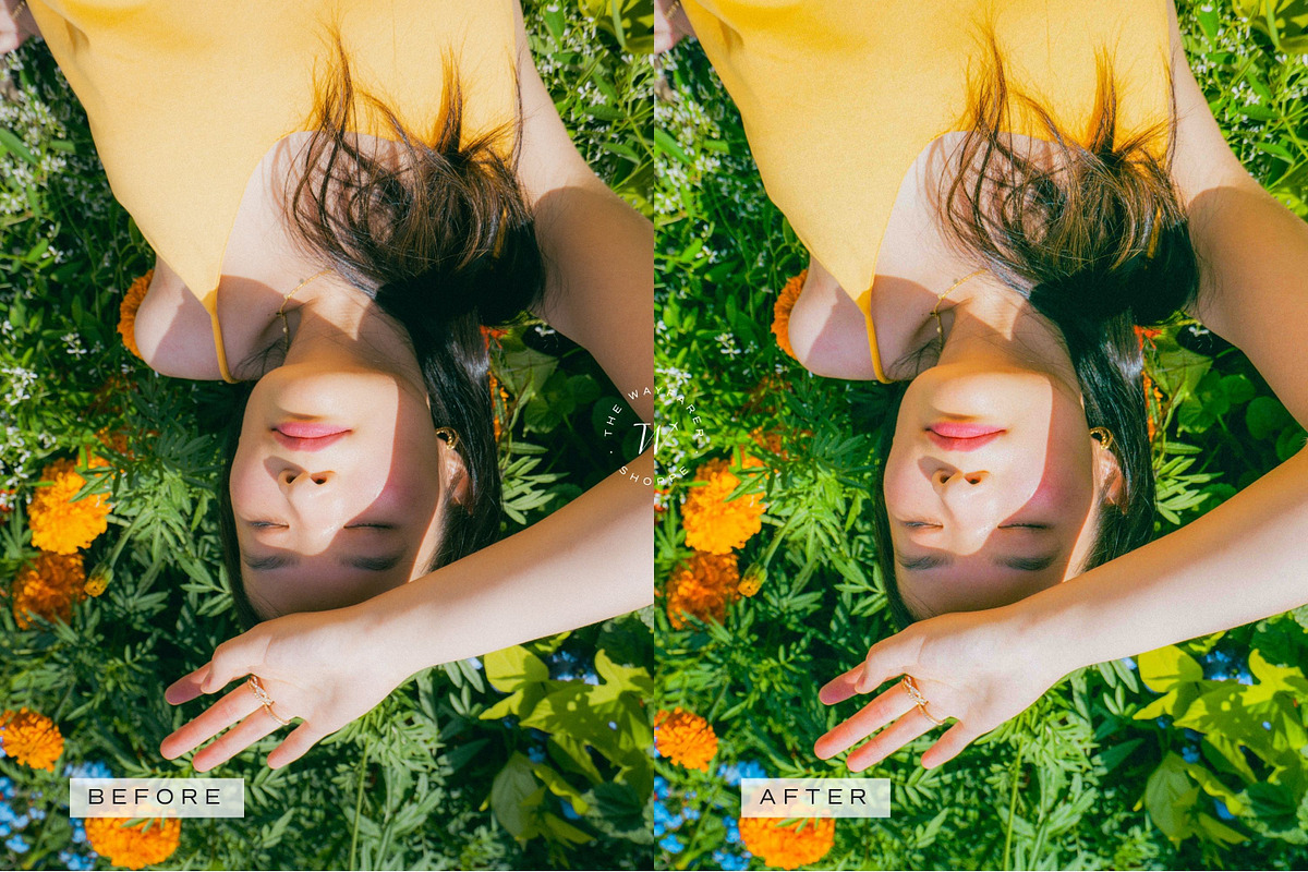 5 Natural Mobile Video LUTs, a Brushes & More by TheWayfarerShoppe (Photo 12 of 17)