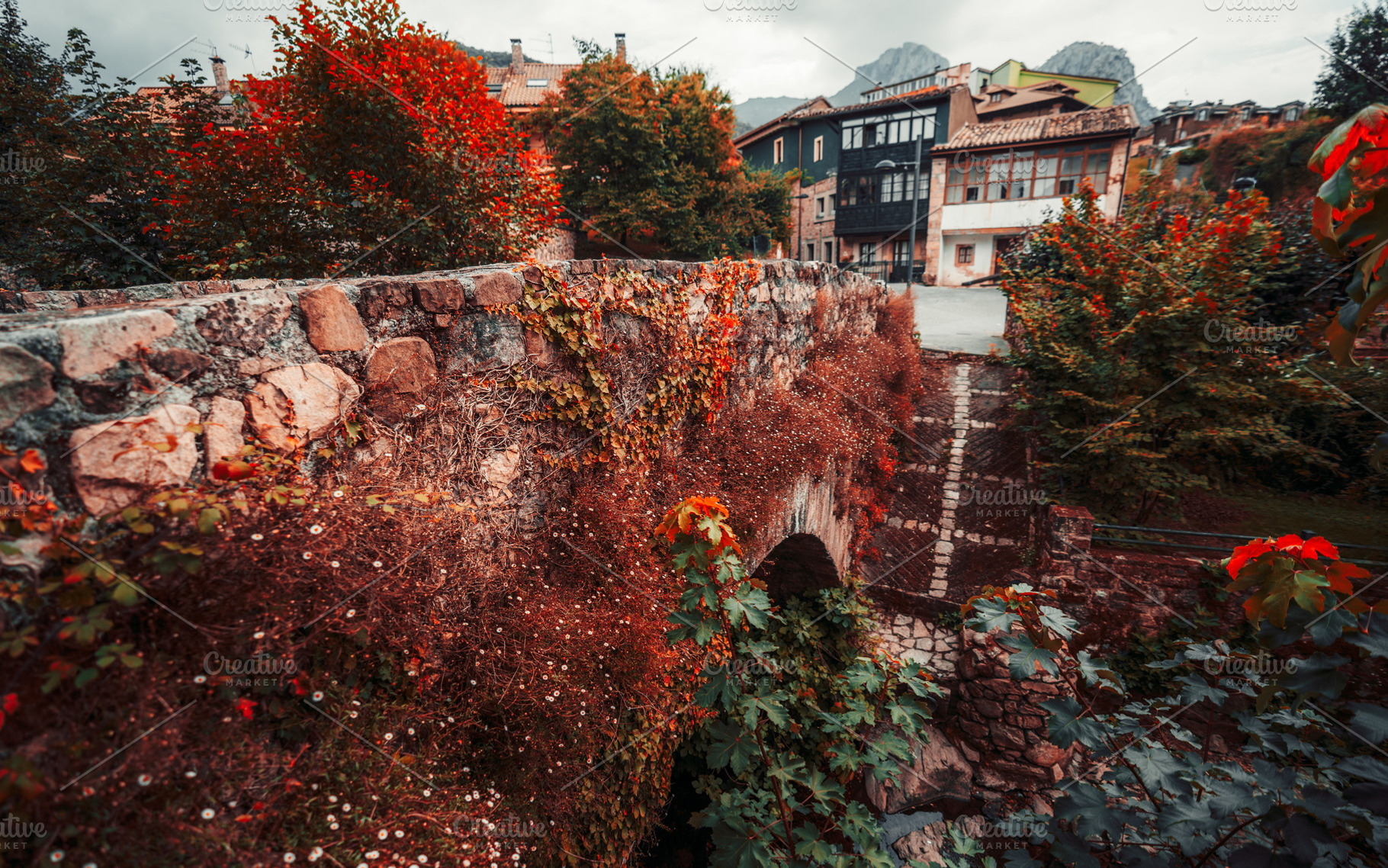 Cabrales stone bridge in autumn, an Architecture Photo by SkyNext