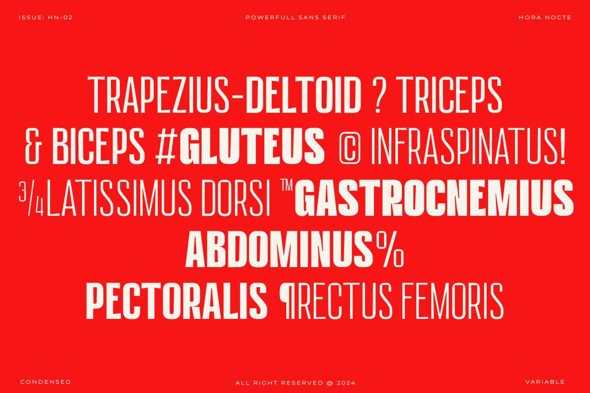 HN Neue Lifter, a Sans Serif Font by Hora Nocte (Photo 2 of 10)