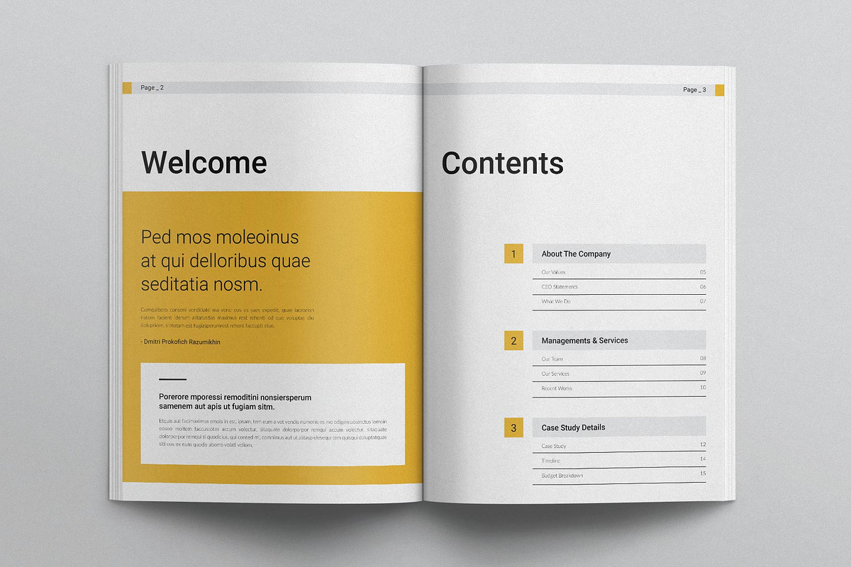 Creative Project Proposal Templates, a Brochure Template by E-Type (Photo 2 of 7)