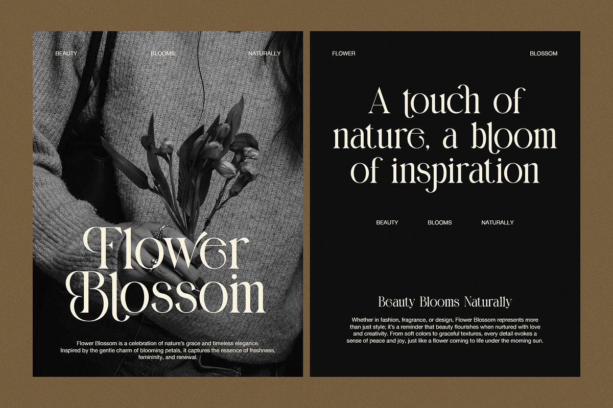 Mellano – Elegant Serif Font, a Serif Font by Perfectype (Photo 4 of 8)