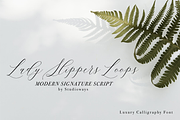 Lady Slippers Loops, a Script Font by STUDIOWAYS (Thumbnail 1 of 6)