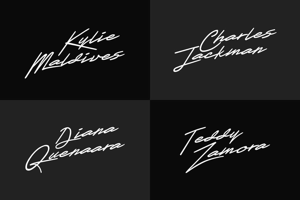 Xenasign Font, a Script Font by nIznaztype (Photo 5 of 6)