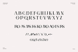 Gomsig Elegant Serif Font Typeface