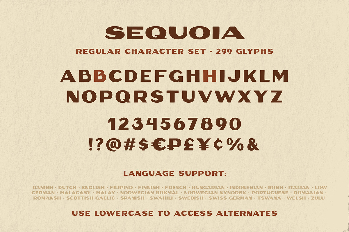 Sequoia Display, a Font by Rachel Kick (Photo 5 of 5)
