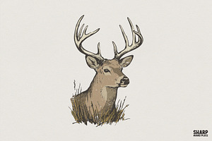 Deer PNG, Majestic Buck Clipart for, an Illustration by SharpMarketplace
