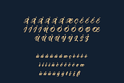 Nigolo Script Font, a Script Font by Creative Foundry (Thumbnail 8 of 8)