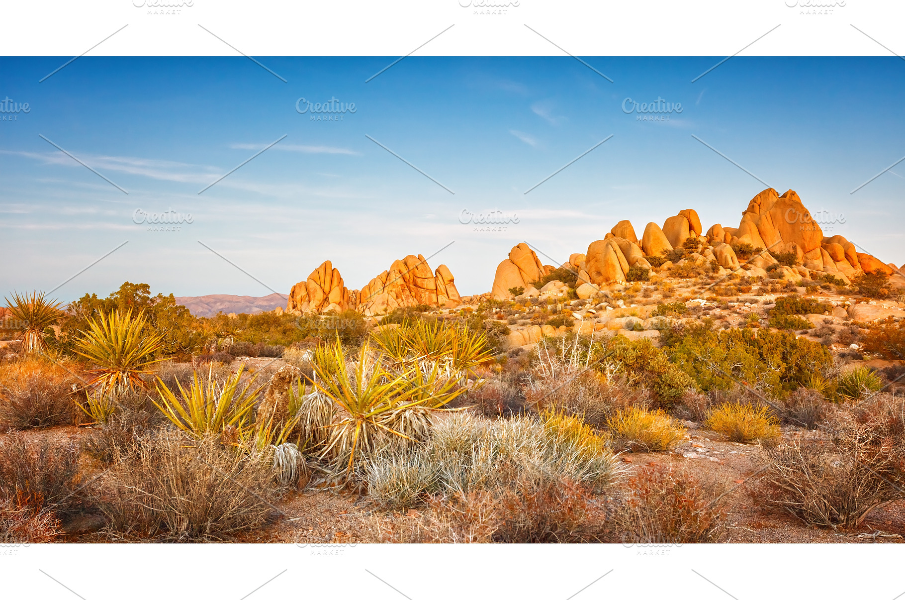 Joshua Tree National Park at sunset, a Nature Photo by sborisov