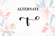 Montage | Script Font, a Handwritten Font by Scratchones (Thumbnail 8 of 9)