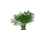 Flowerpot, an Environmental 3D Model by AndrewWhite (Thumbnail 4 of 5)