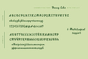 Fanny Echo Cyrillic Script font, a Script Font by IraDvilyuk (Thumbnail 10 of 10)