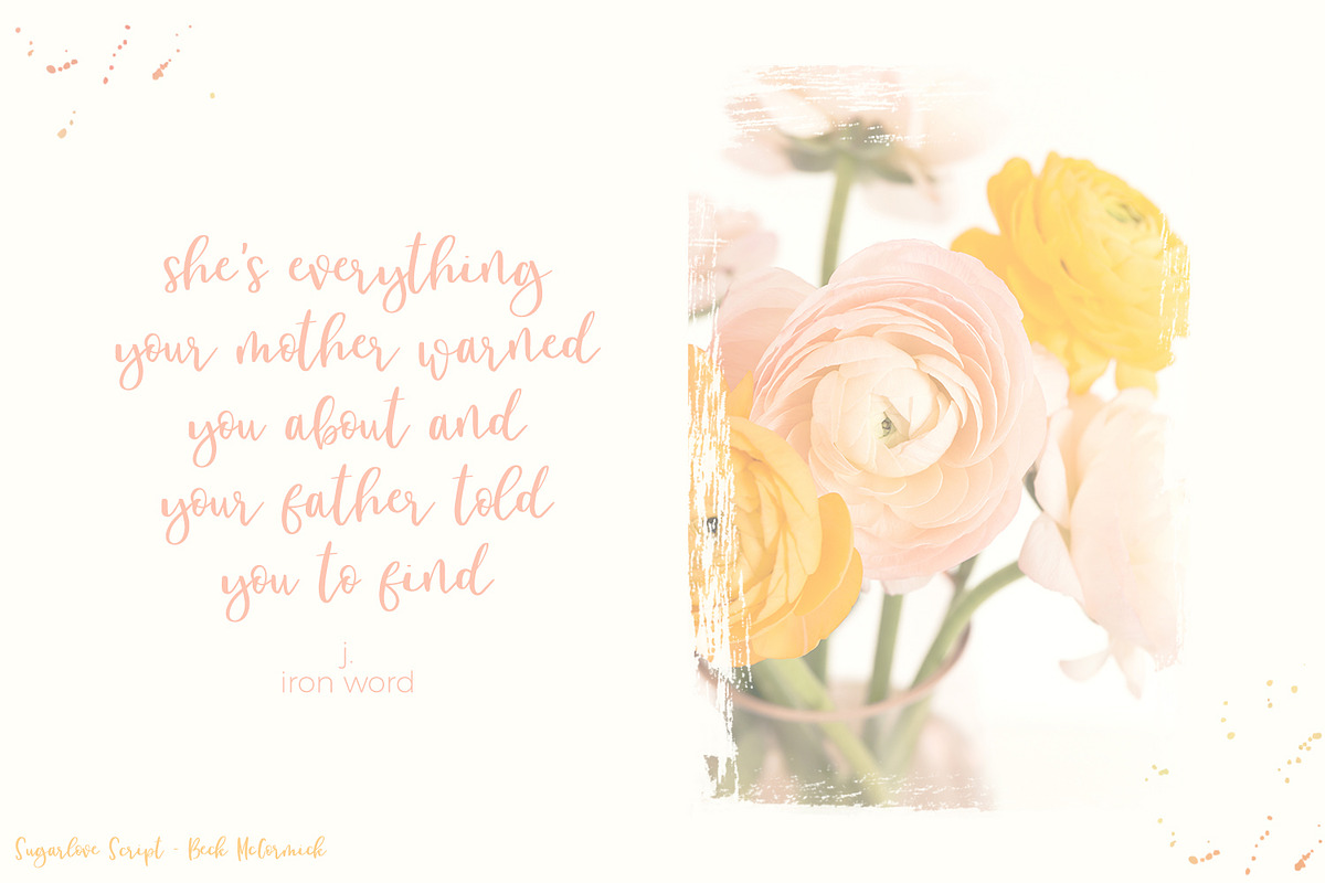 Sugarlove Script, a Script Font by Beck McCormick (Photo 5 of 9)