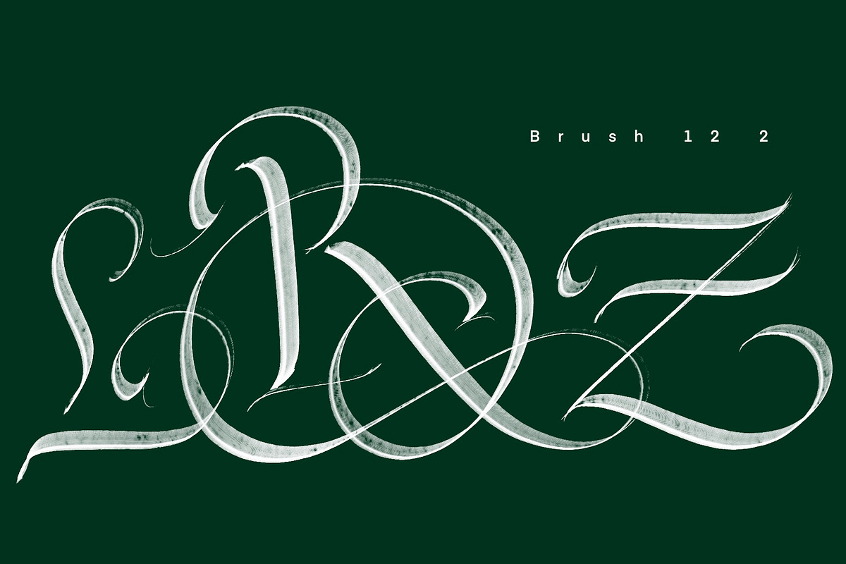 CalligraphyMasters Procreate Brushes, a Brush Add-On by the Fontmaker (Photo 14 of 38)