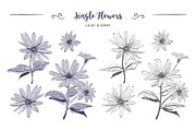Flowers & stripes - Cards & Patterns, a Decorative Illustration by ClipartMuchLove (Thumbnail 2 of 13)