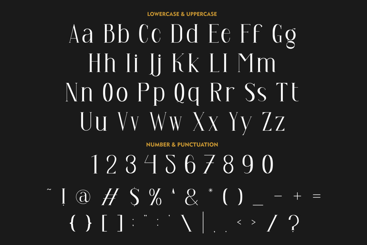 Arash - Vintage Serif Font, a Serif Font by PutraCetol Studio (Photo 4 of 9)
