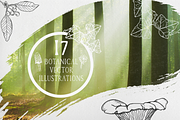 17 Botanical Vector Illustrations, an Illustration by Salty Sweet Creative (Thumbnail 1 of 3)