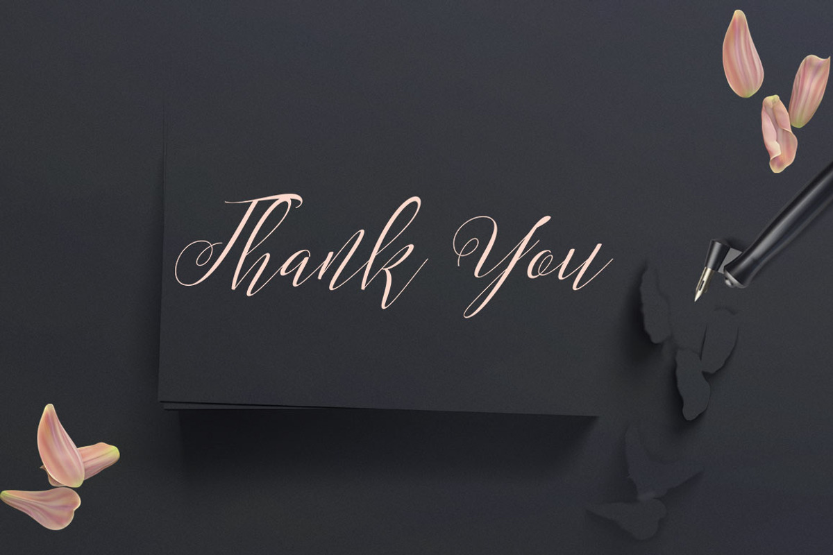 Mordane, a Script Font by Gatype (Photo 10 of 10)