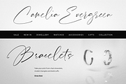 Pardone | Luxury Signature Font, a Script Font by RedyStudio (Thumbnail 7 of 14)