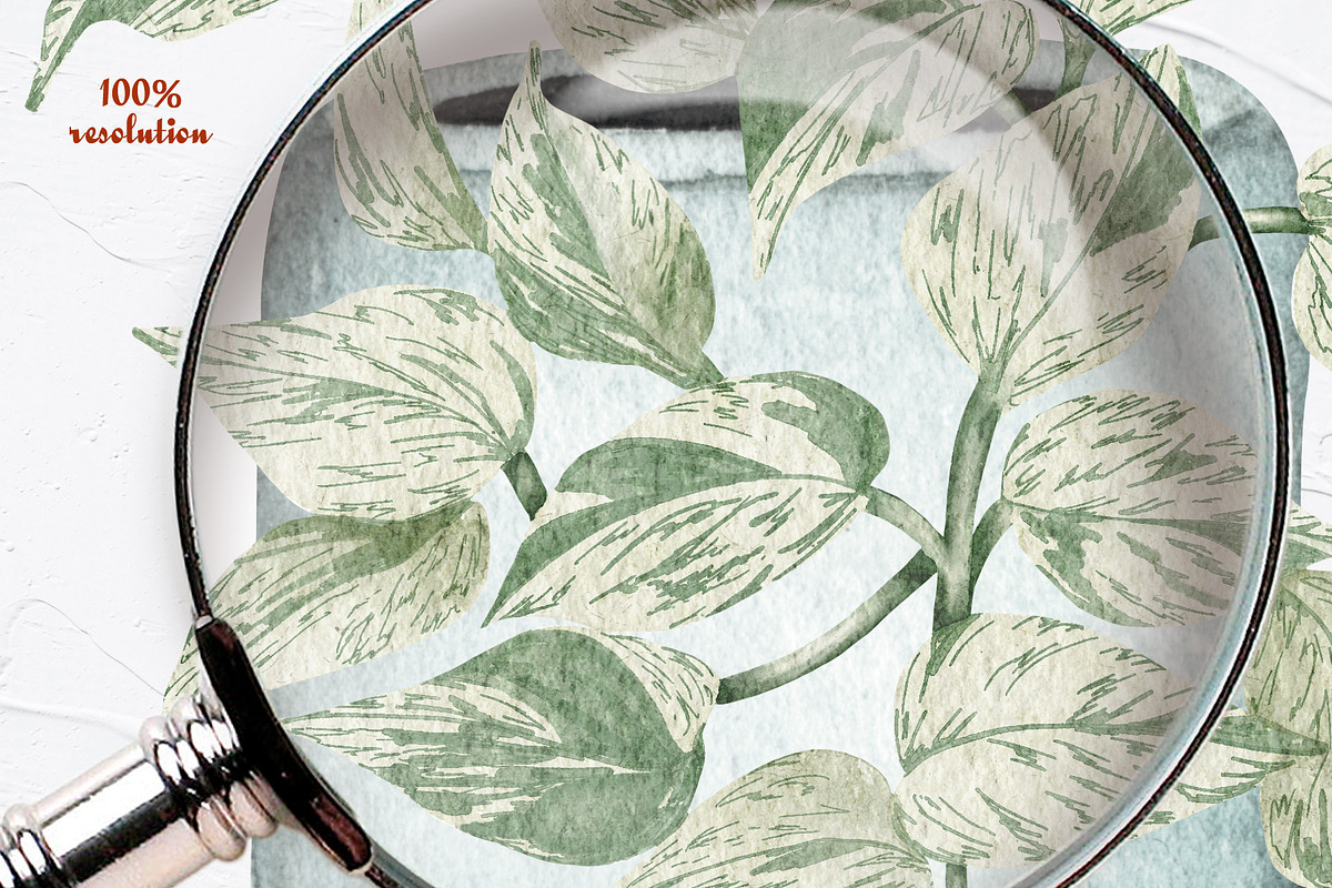 House Plants Watercolor Collection, an Object Graphic by BarvArt (Photo 7 of 8)