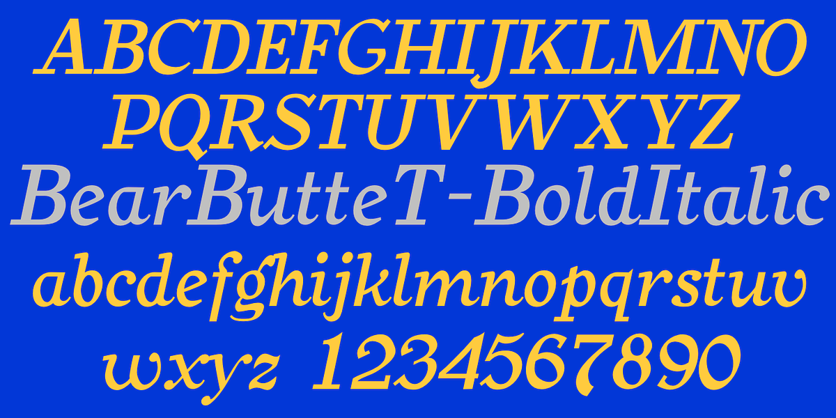 BearButteT, a Slab Serif Font by Ingrimayne Type (Photo 6 of 8)