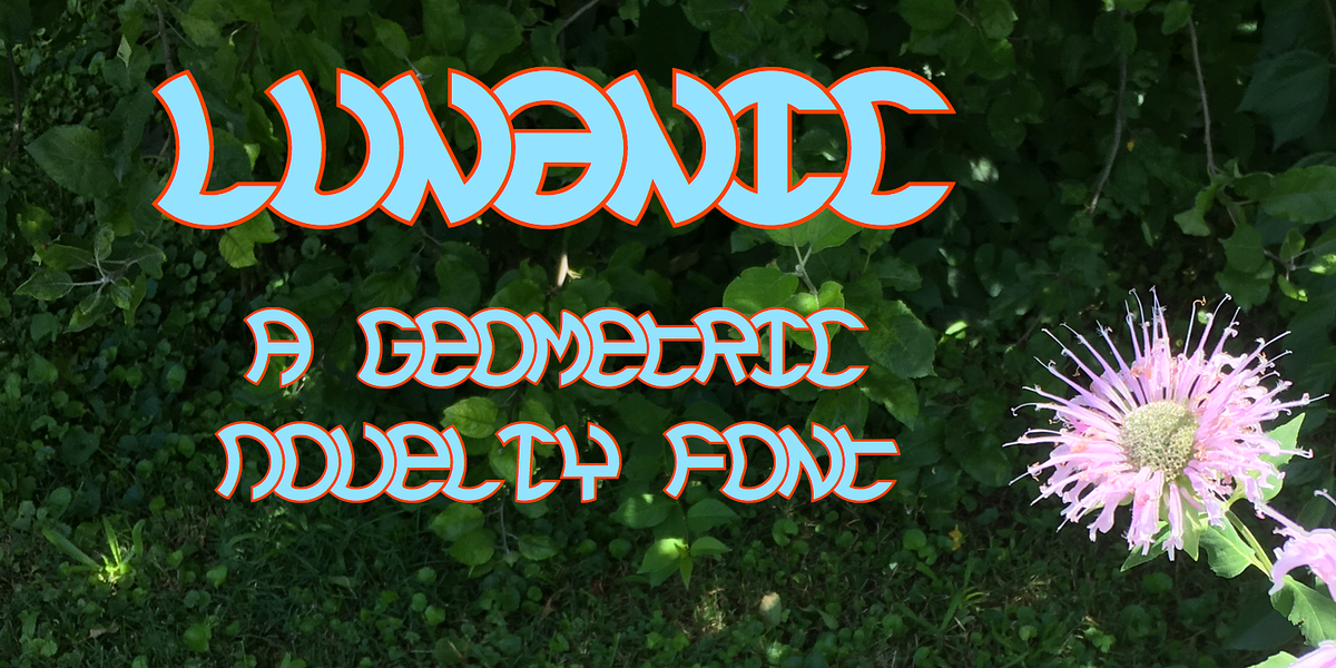 Lunanic, a Font by Ingrimayne Type (Photo 1 of 10)