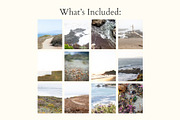 Coastal California Photo Backgrounds, a Background Photo by CreatingYOU.®, Lori Rice (Thumbnail 2 of 5)