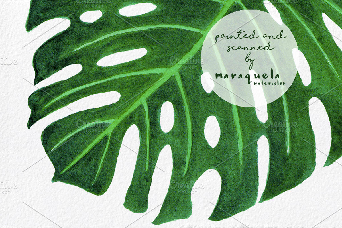 Tropical Clipart - Hand painted, a Decorative Illustration by MaraquelaStudio (Photo 8 of 8)