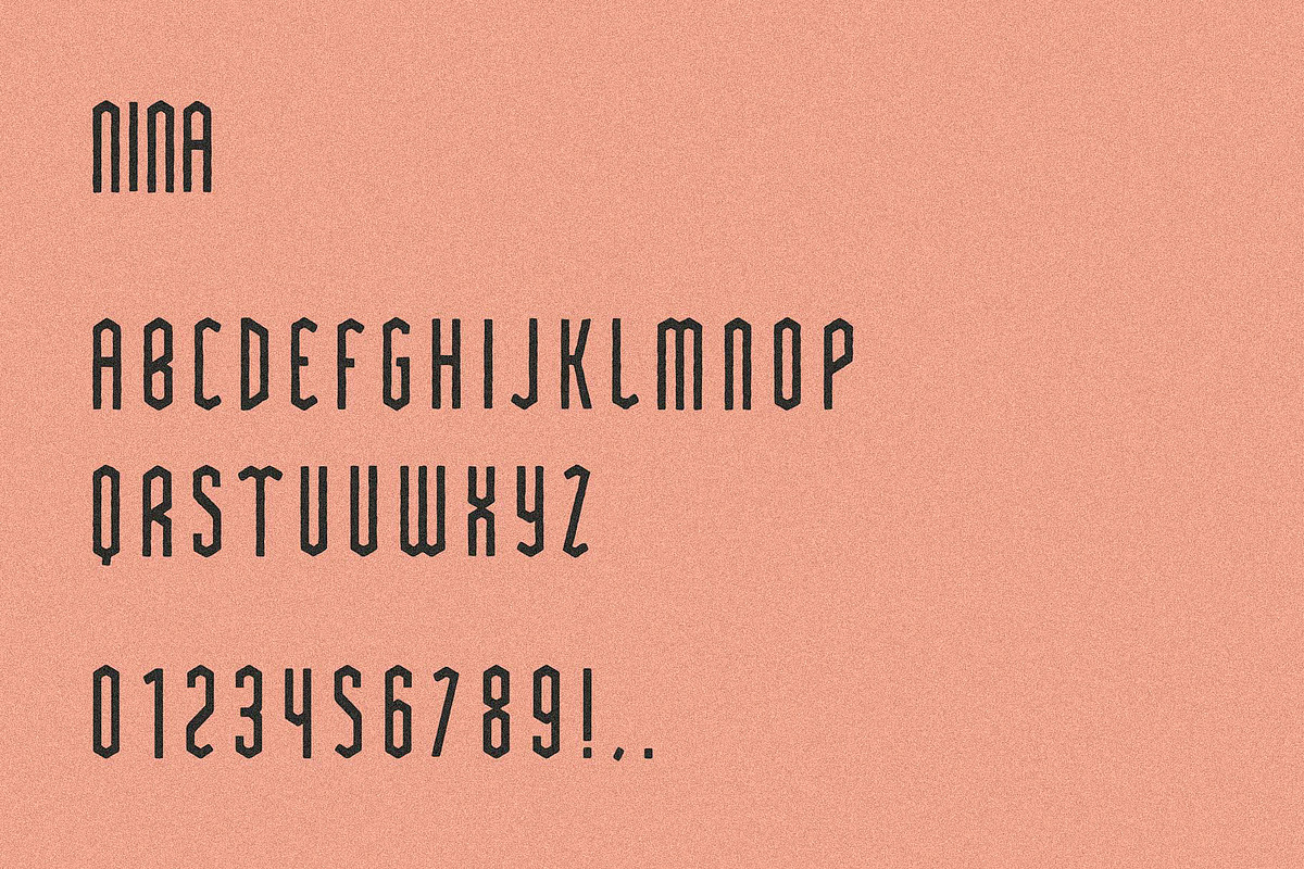 Nina I A Sans Serif Font, a Sans Serif Font by Taylor Penton (Photo 3 of 3)