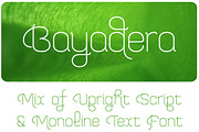 Bayadera 4F (Family), a Script Font by 4th february type foundry (Thumbnail 1 of 4)