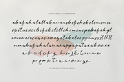 Burgiento | Modern Signature Script, a Script Font by gracetype_studio (Thumbnail 12 of 12)