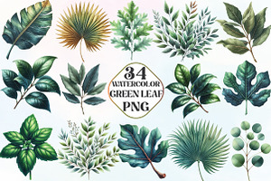 Watercolor Green Leaf Clipart, an Illustration by CraftArtStudio