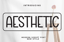 Aesthetic | Script Font
