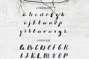 Luuna. Emotional Brush Font, a Script Font by Wewhitelist (Thumbnail 2 of 7)