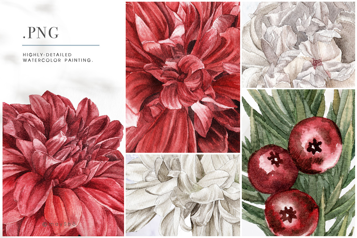 Red Burgundy & White Floral Clipart, an Illustration by May • SHO (Photo 3 of 13)