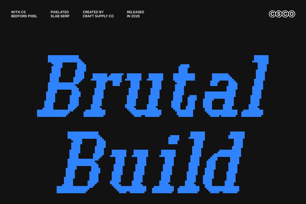 CS Bedford Pixel, a Slab Serif Font by Craft Supply Co. (Photo 4 of 8)