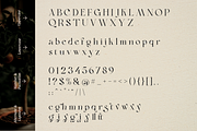 Bon Foyage - Vintage Modern Serif, a Serif Font by Dharmas Foundry (Thumbnail 14 of 15)