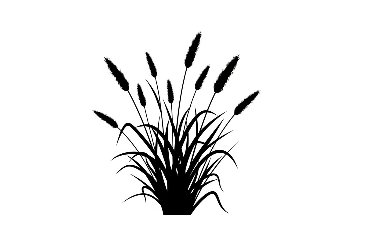 Floral Ornament Silhouette Bundle, an Illustration by BIPLOB EXPERT (Photo 21 of 51)