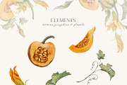AUTUMN PUMPKIN floral pattern, a Pattern Graphic by Yuliia Lashevska (Thumbnail 10 of 12)